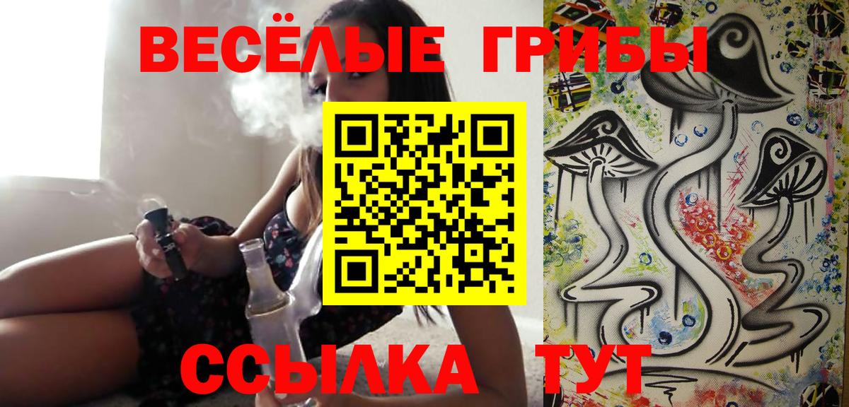 Псилоцибиновые грибы Psilocybe Вольск