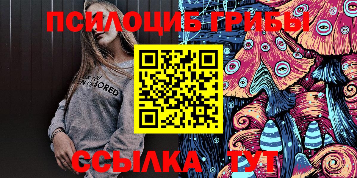 Галлюциногенные грибы Psilocybine cubensis  Галлюциногенные грибы мицелий  Вольск  купить наркотик  Вход с VPN 